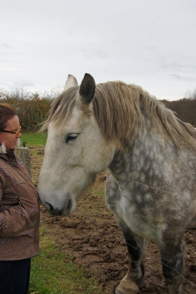 Tina du Seuil, adoptée par Maelle en 2009