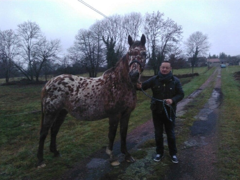 Libellule adoptée par Alexandre en février 2019