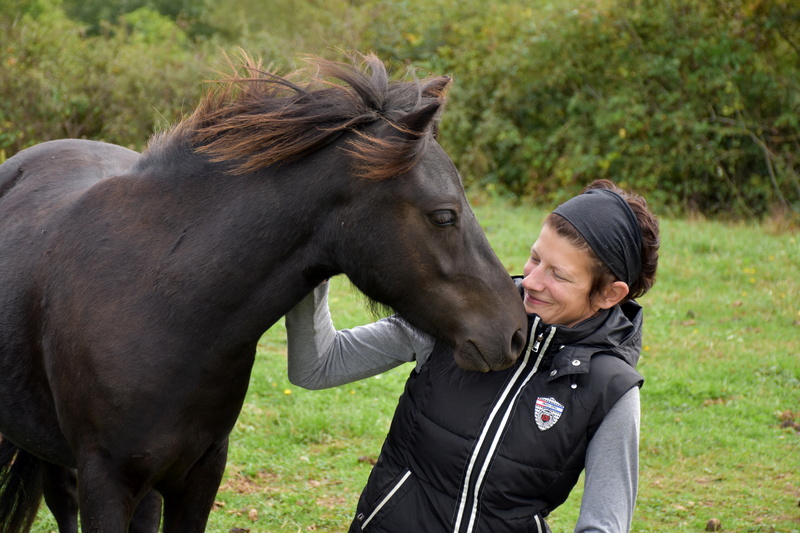 Falco, adopté par Audrey en 2017