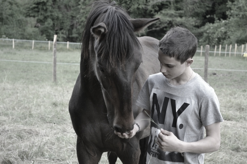 Be Amor, adopté par Simon en 2013 (A rejoint les étoiles en 2013)