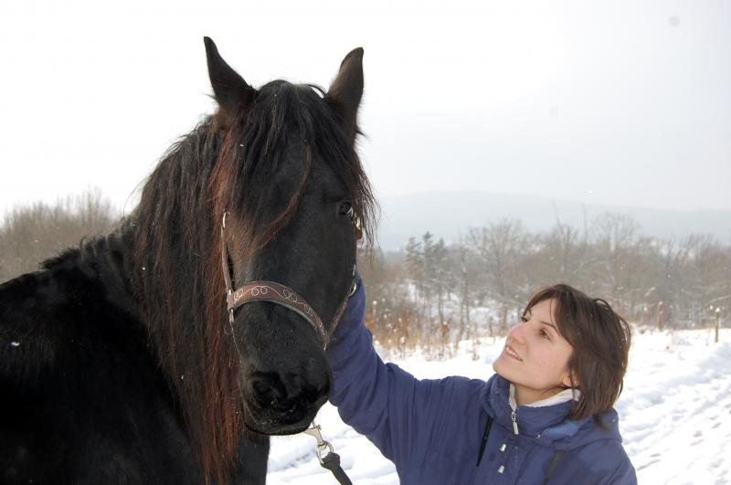 Santos, adopté par Lavande en 2010