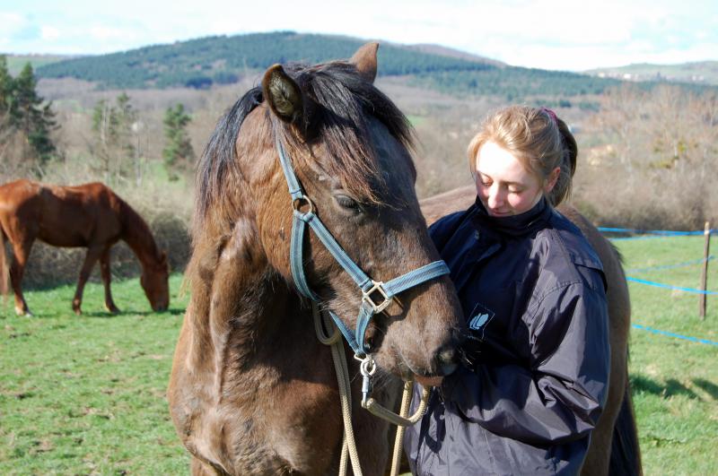 Ulan, adopté par Elodie en 2010