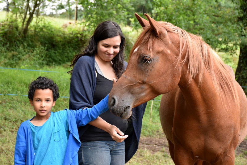 Virus de Chassillac, adopté par Virginie et sa famille en 2017