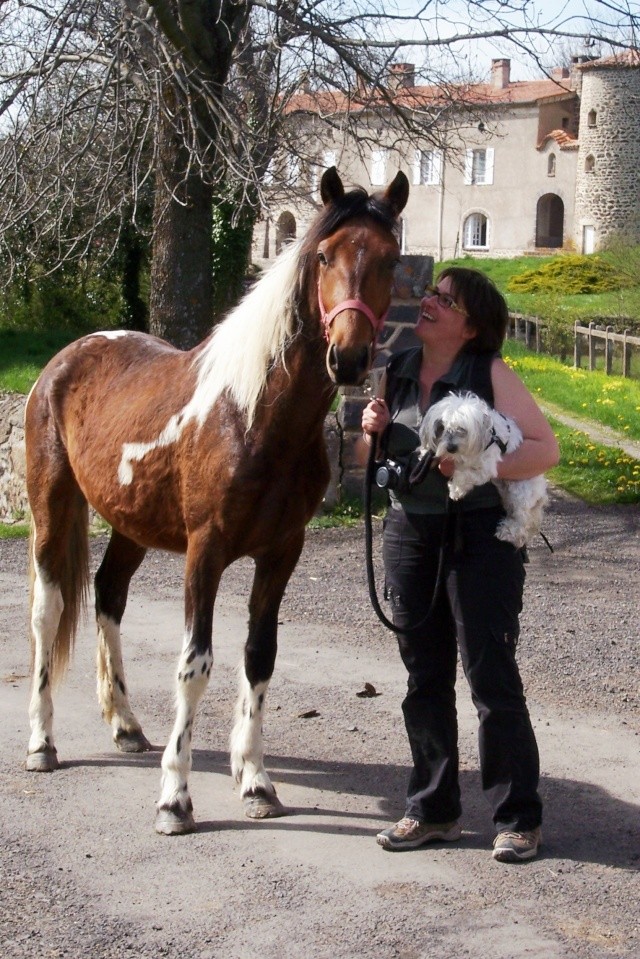 Shérif, adopté par Anne en 2008