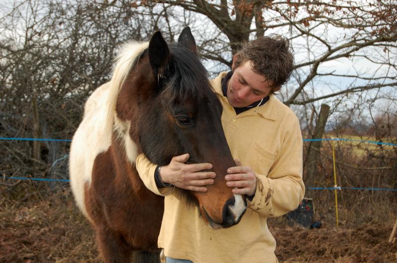 Apache de Liberté, adopté par Ludo en 2008