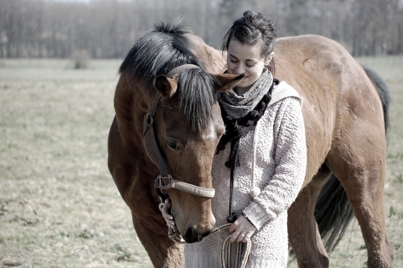 Op Sun, adopté par Laëtitia (A rejoint les étoiles en 2013)