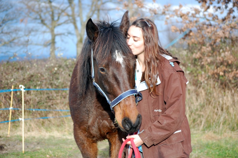 Sherif du Bocage, adopté par Alexandra en 2014