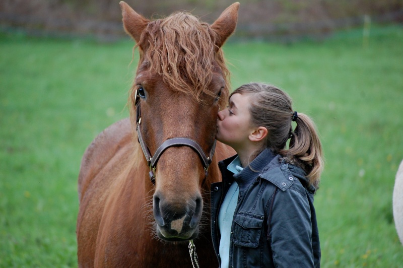 Sam, adopté par Laure et sa famille en 2012