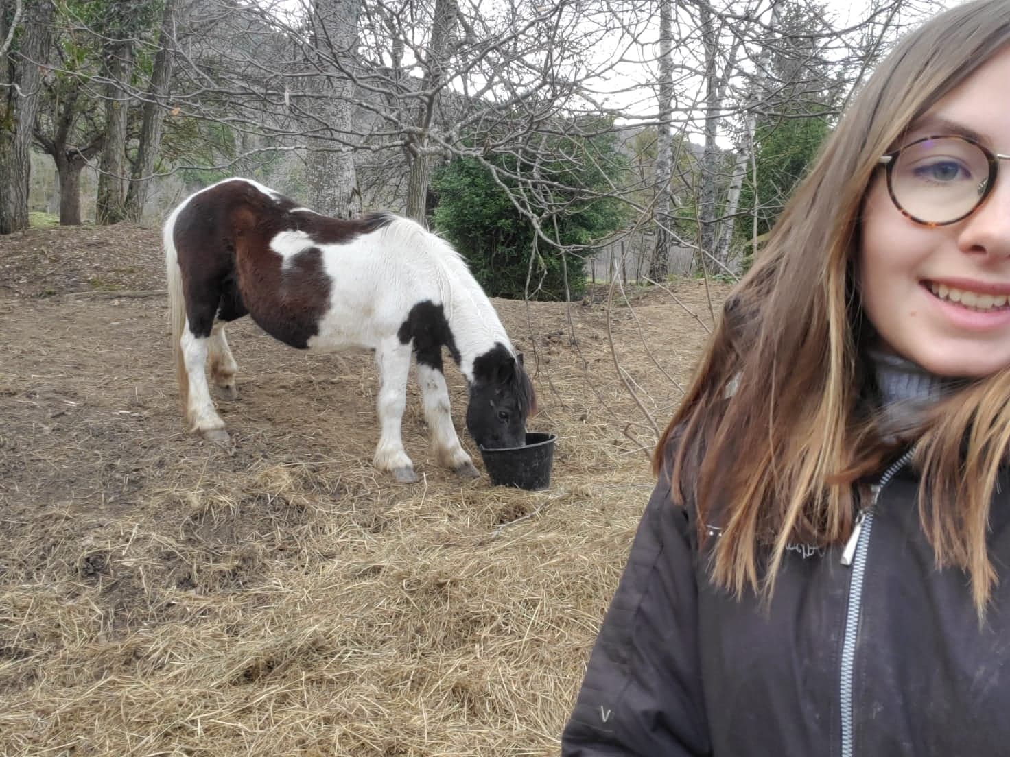 Pinto adoptée par Marina en mars 