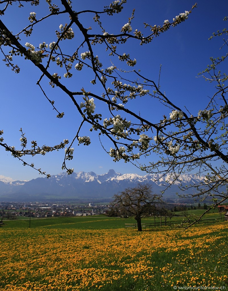 Steffisburg bei Thun, Blick auf Stockhornkette, Berner Oberland - Bernese Oberland