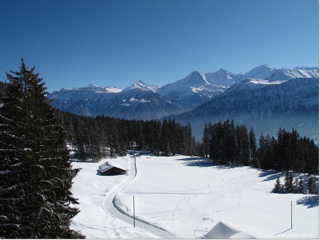 Mit wunderbarer Aussicht hinunter auf die verschneiten Wiesen...