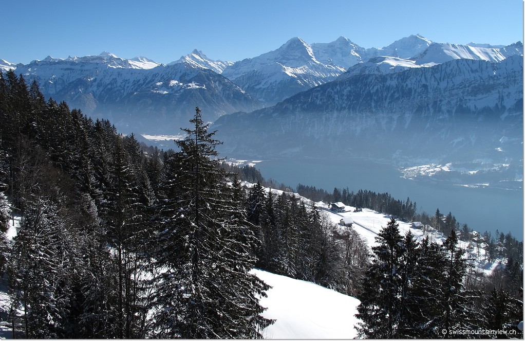 Kurz darauf sind wir in der Bahn hinauf aufs Niederhorn (die Fahrt dauert nur rund eine Viertelstunde).