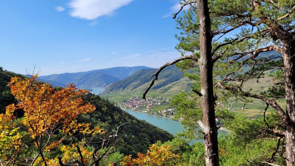 Seekopf 671 m in der Wachau