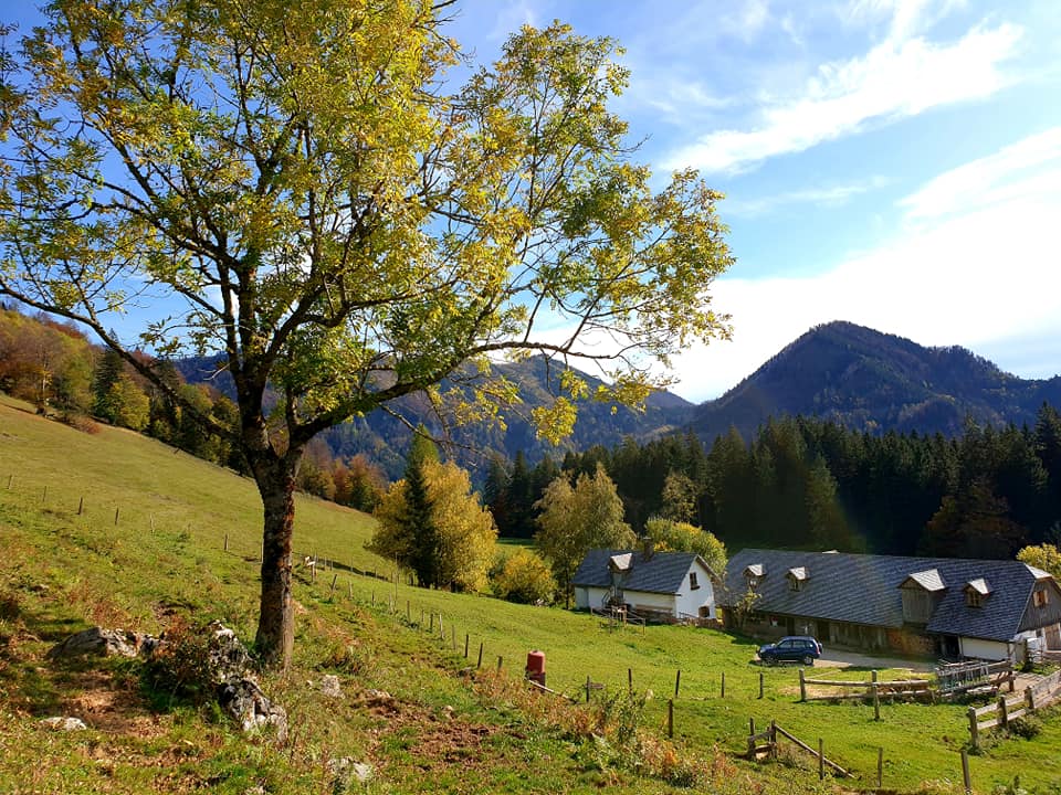 Gamsstein 1.274 m über Gschwendtalm