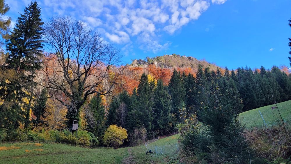 Landsberge im Steyrtal