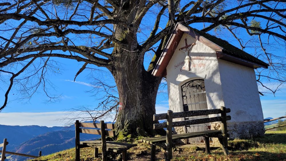 Goganz 743 m und Diensbergsattel in Gresten
