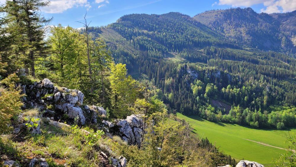 Panoramasteig Steinkogel-Sonnstein 1.019 m