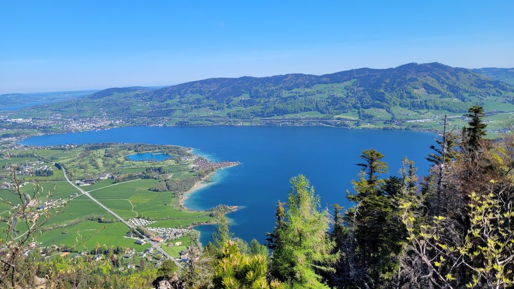 Almkogel 1.030 m - Mondsee