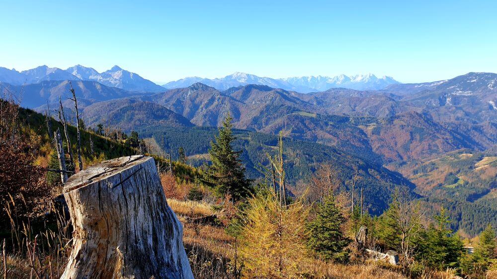 Bodenwies 1.540 m 