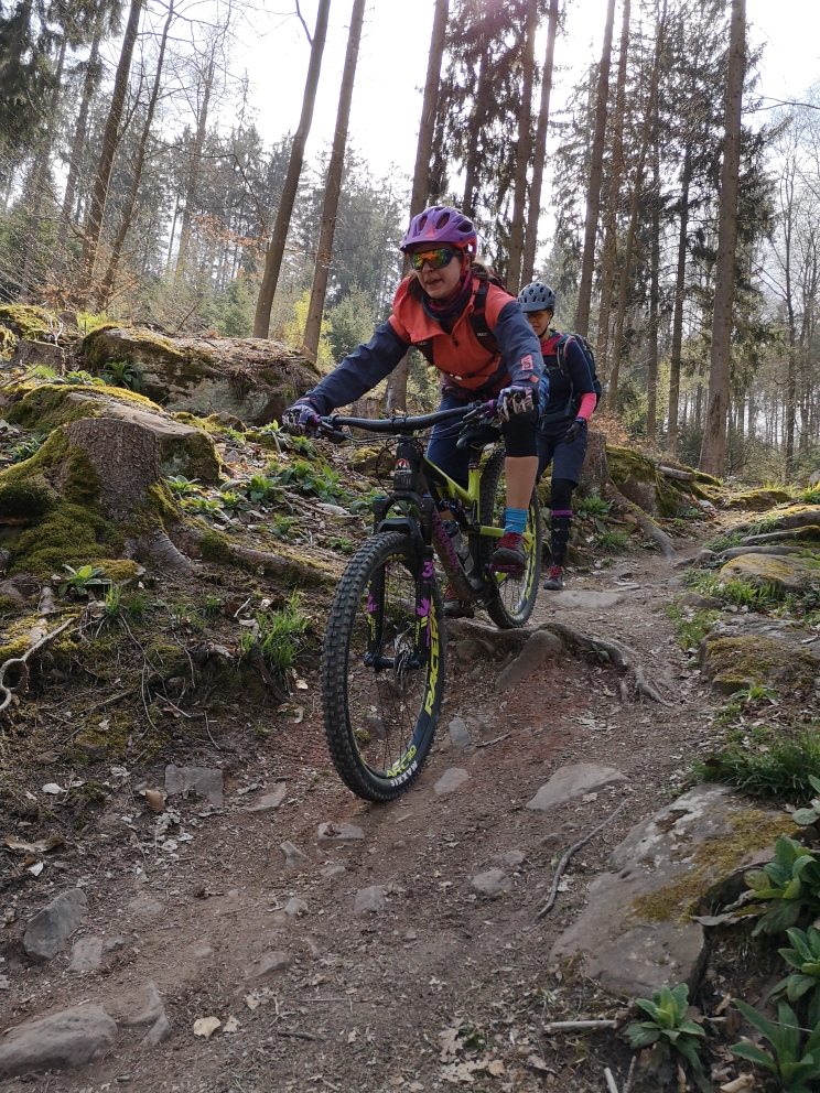 MTB Fahrtechnikkurs für Einsteiger