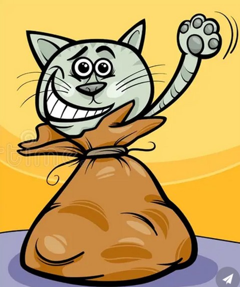 Wer kauft schon gerne die Katze im Sack?
