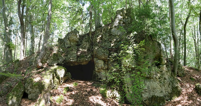 Das sin die verschiedenen Baue: - Nebelstern-regenclan Webseite! Warrior  Cats!