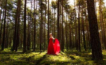Frau im roten Kleid steht zwischen hohen Bäumen im Wald in märchenhafter Stimmung