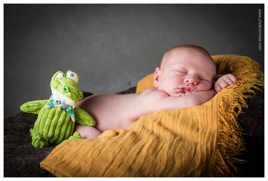 Photo de bébé avec peluche crocodile
