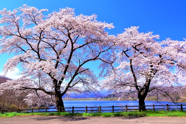 The Great Reset Of Japan section6