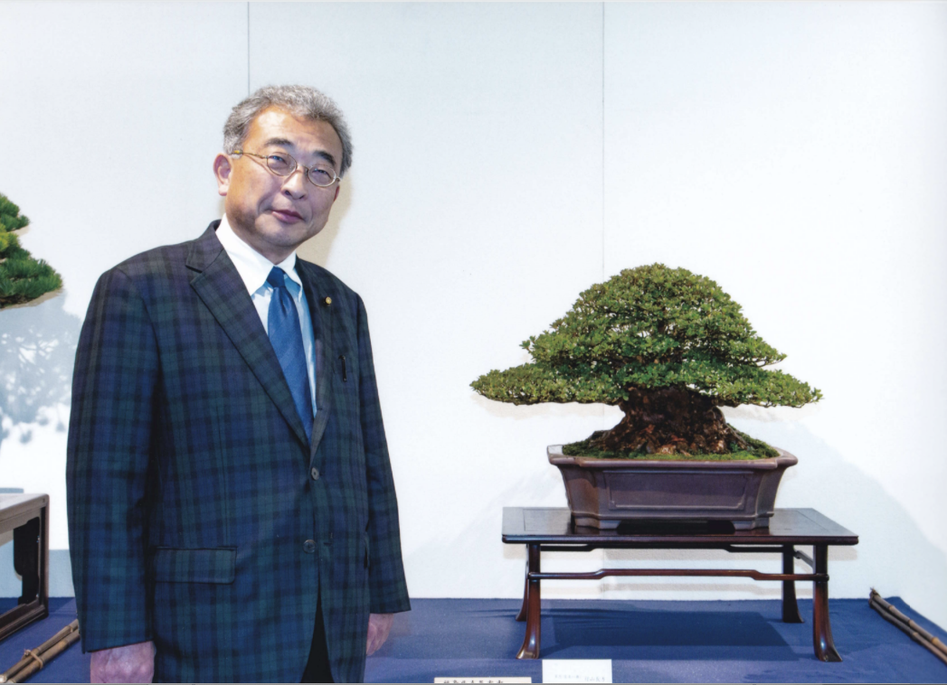 皐月盆栽とわびさび