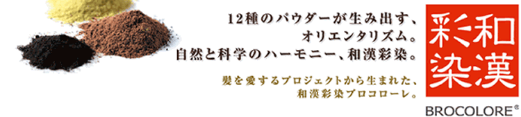 和漢彩染,トリートメント感覚カラー,杉戸,地域no.1,艶髪、お肌に優しい