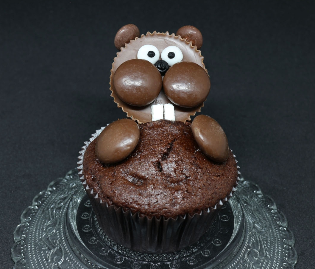 beaver cupcakes