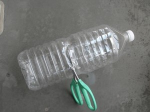 アジサイの育て方 Koborebiajisai ページ アジサイの育て方 Koborebiajisai ページ