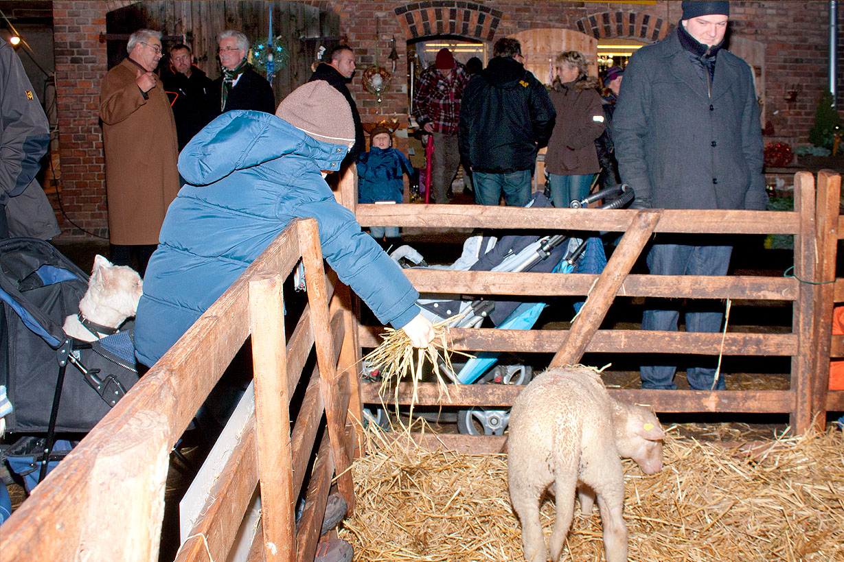 Stederdorfer Weihnachtsmarkt Café Duo