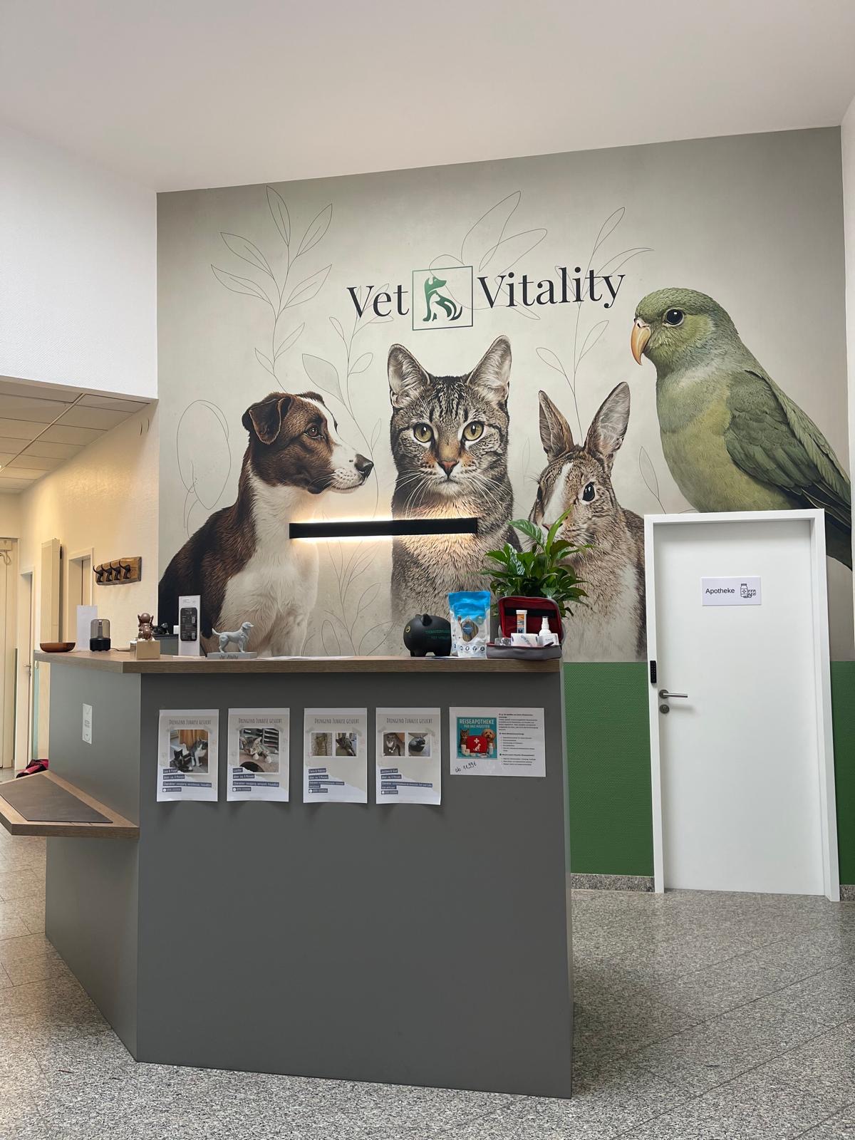 Anmeldebereich mit Tresen