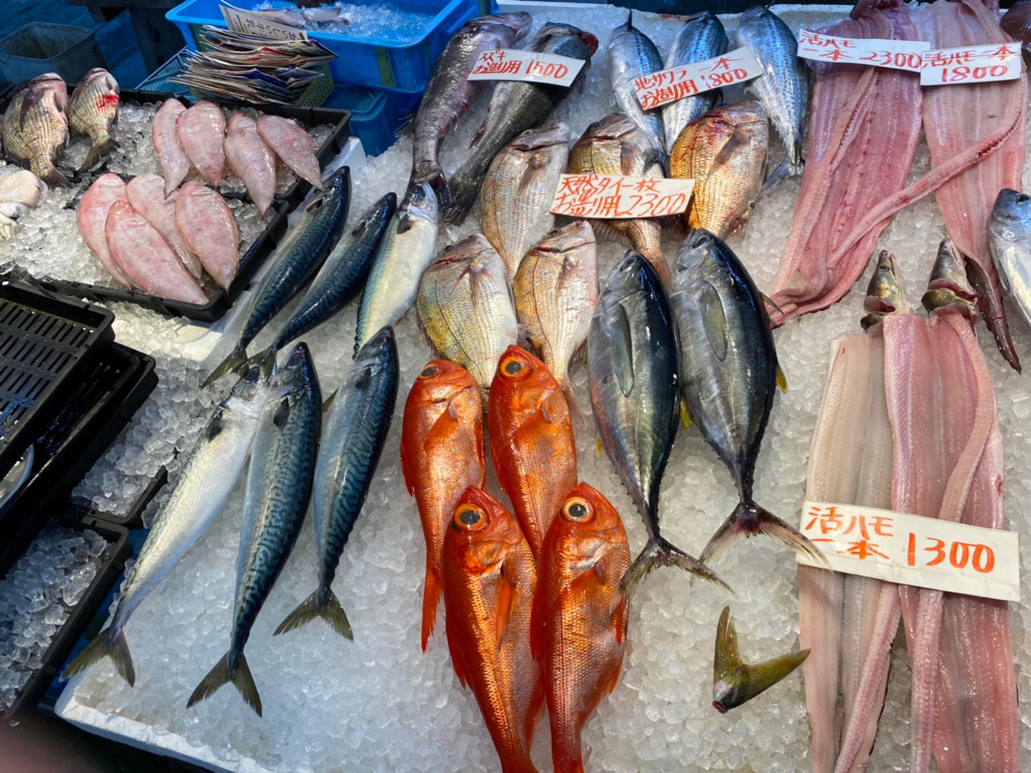泉佐野漁協中筋商店