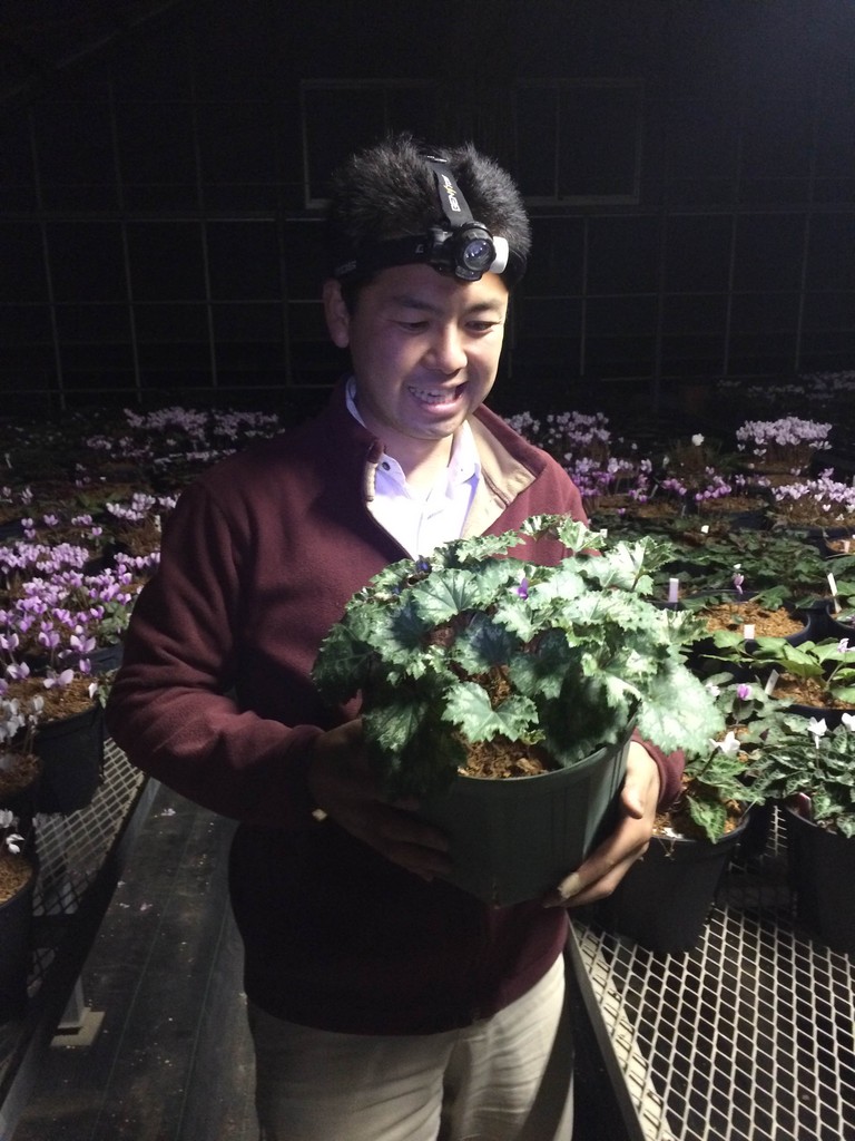 横山園芸とgreen Jam Green Jam Foliageplant 横山園芸とgreen Jam Green Jam Foliageplant