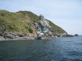 上神立岩と沼島。