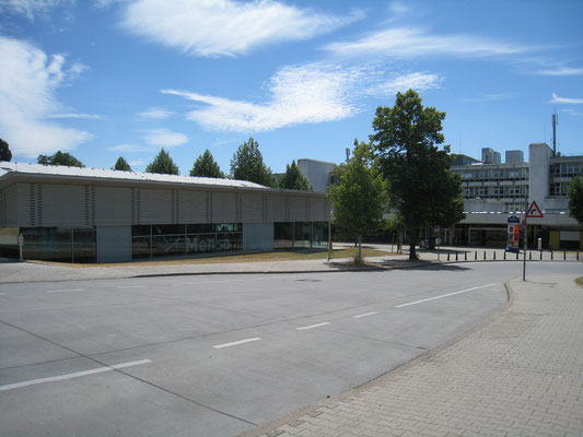 ホーエンハイム大学