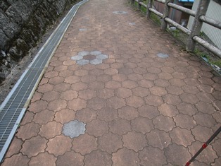 坂道も桜模様