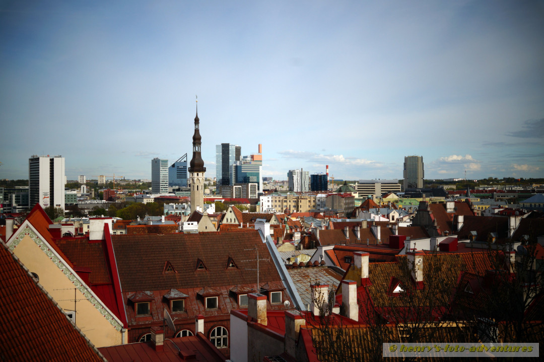 Blick auf die untere Altstadt und die Neustadt