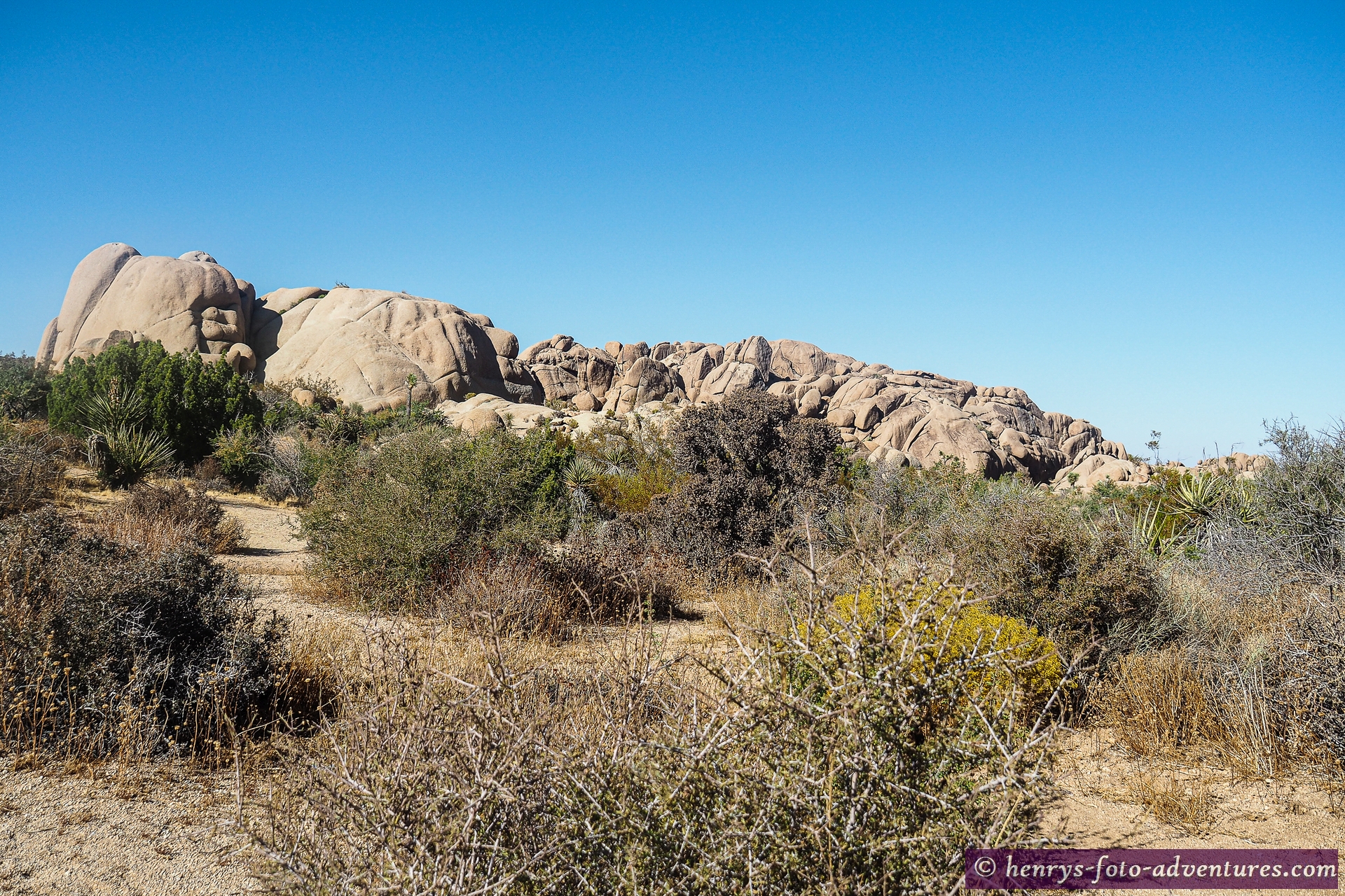 im Joshua Tree NP