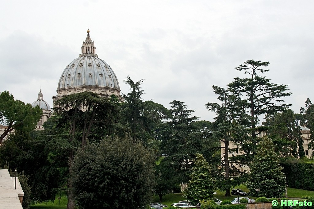 Blick auf die Kuppel des Petersdomes