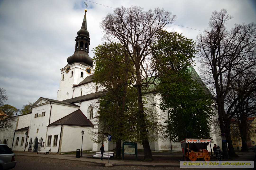 der Dom mit den Wappenschildern