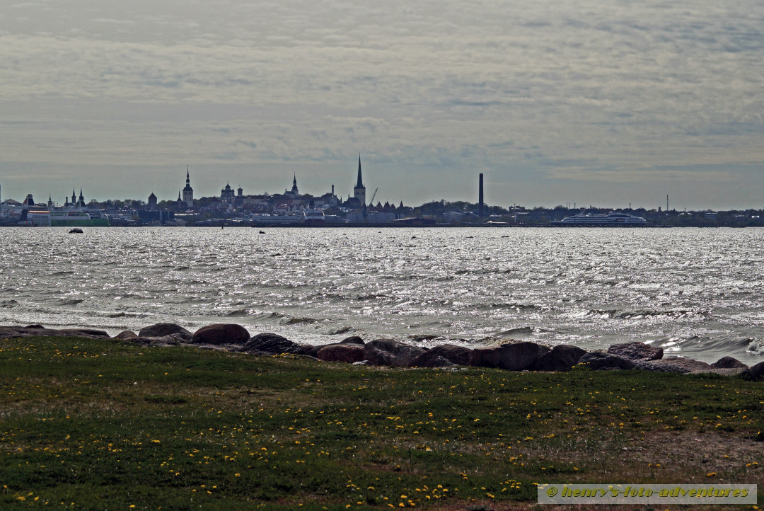 Blick auf Tallin