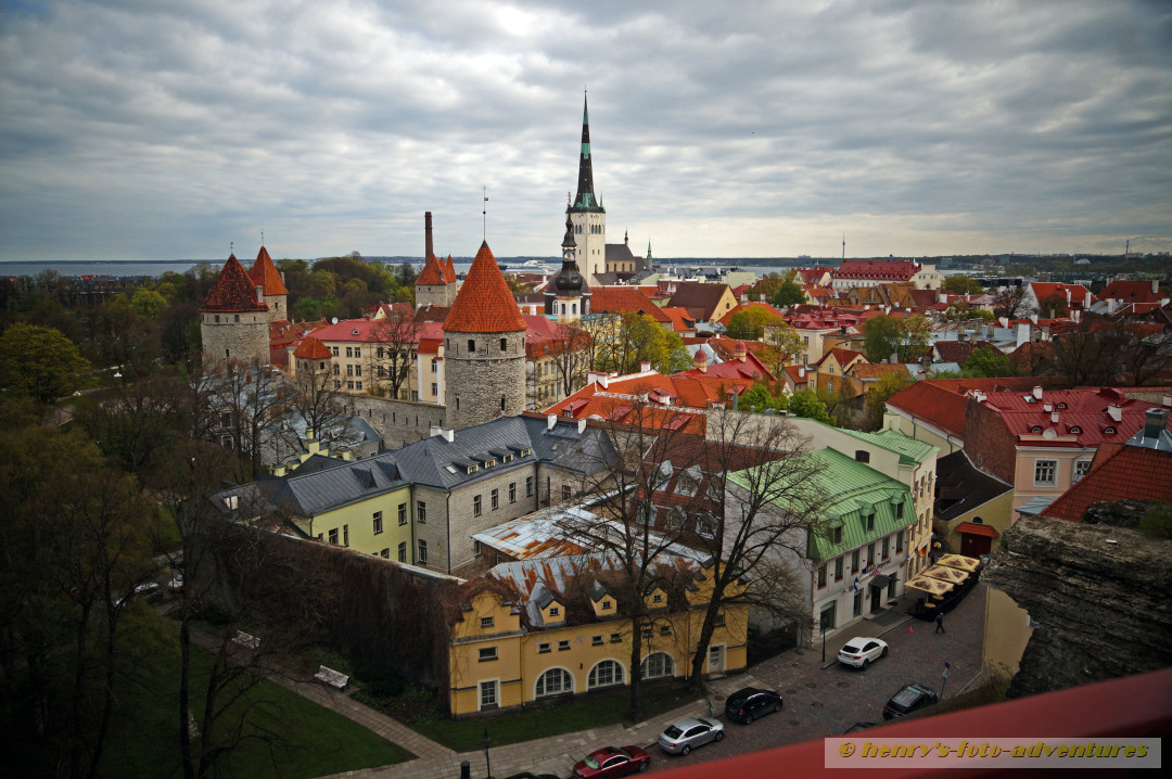 Ausblick vom domberg