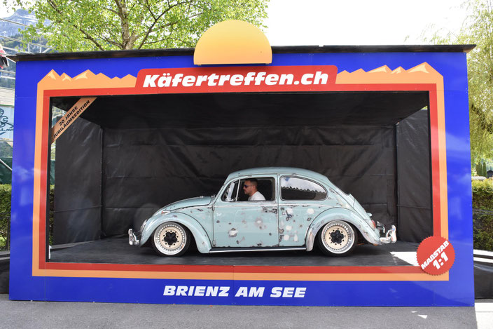 1. Kategorie Eyecatcher: Käfer im Ratlook