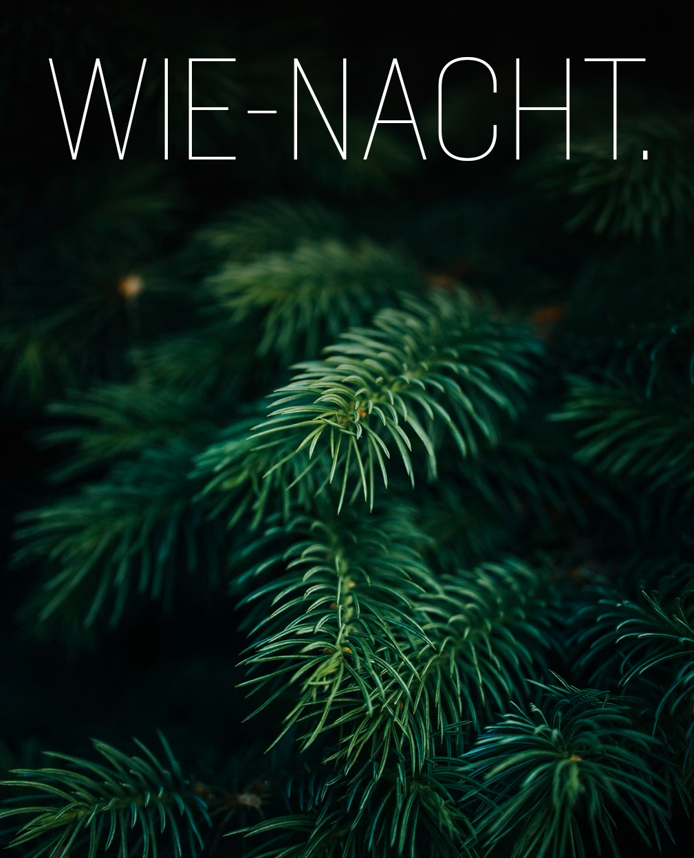 Wie-Nacht.