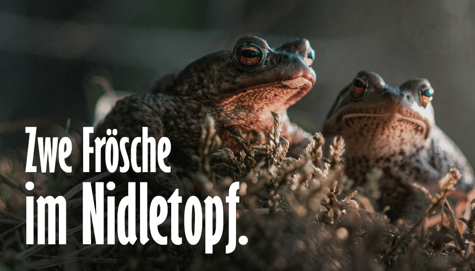 Zwe Frösche im Nidletopf.