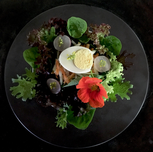 Salatkreation Gourmet Kulinarik Essen Atelier Café Atelier-Café Restaurant Daniel Gisler Kunst Maler Künstler Kunstmaler Krinau Wattwil Toggenburg Ostschweiz St. Gallen SG